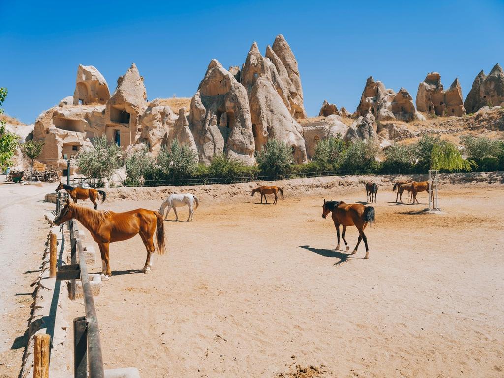 Caballos en Capadocia