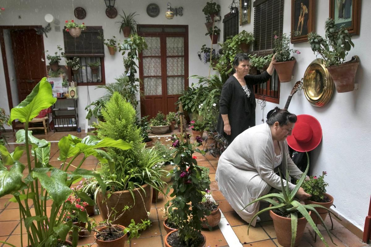 Fotogalería / Descubriendo los patios de la ruta del Realejo y San Andrés