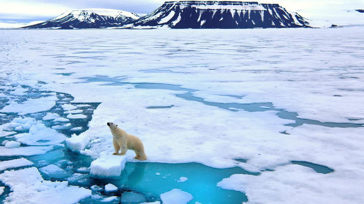 Svalbard es un territorio dominado por el hielo