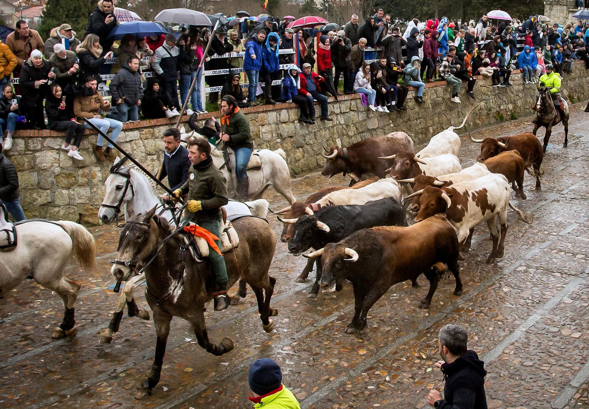 GALERÍA: El encierro a caballo del Carnaval del Toro, en imágenes