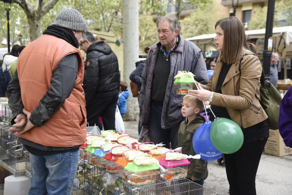 Fira de Maig de Berga 2019