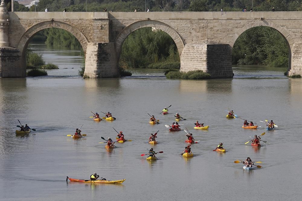 Fotogalería / Ruta del Caimán por el río Guadalquivir.