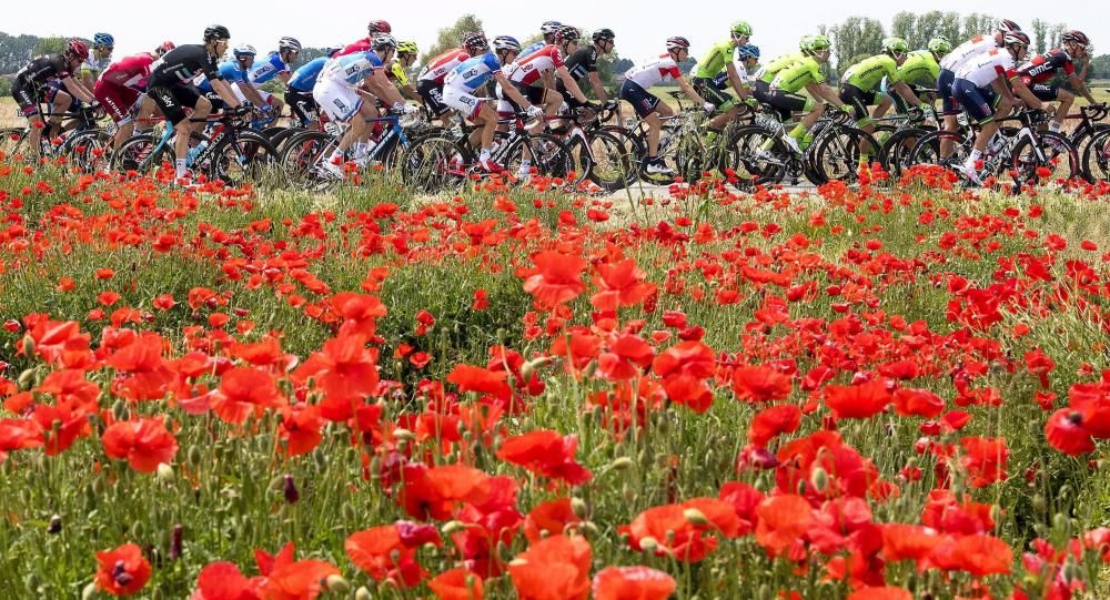 Imágenes de la undécima etapa del Giro de Italia, con victoria de Diego Ulissi.