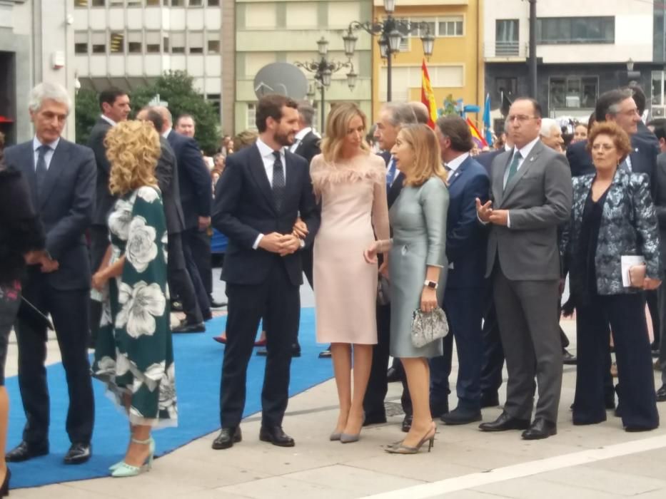 Todas las imágenes de la alfombra azul del teatro