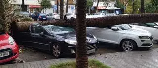 Restablecido el tráfico de vehículos y personas en la avenida de Granada