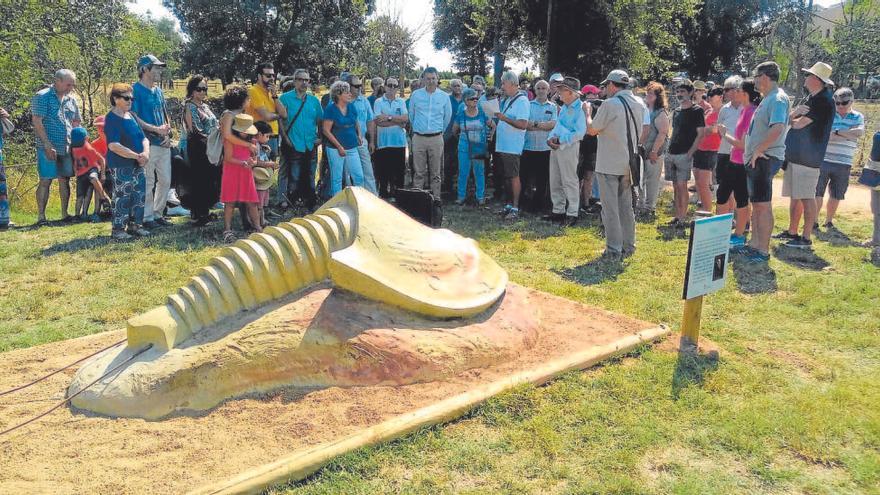 Fontcoberta protegeix els triops i la platja d&#039;Espolla amb la delimitació d&#039;un itinerari