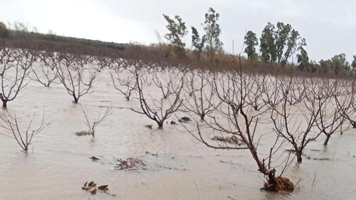 Cultivos anegados en fincas de Mérida por la sucesión de borrascas