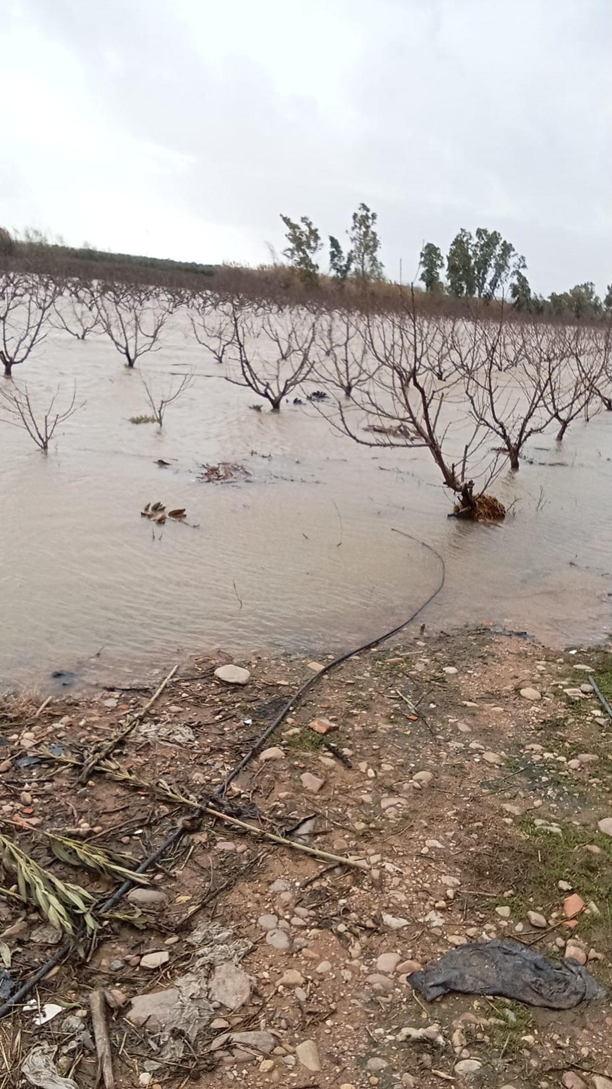 Fotogalería | Cultivos anegados en fincas de Mérida por la sucesión de borrascas