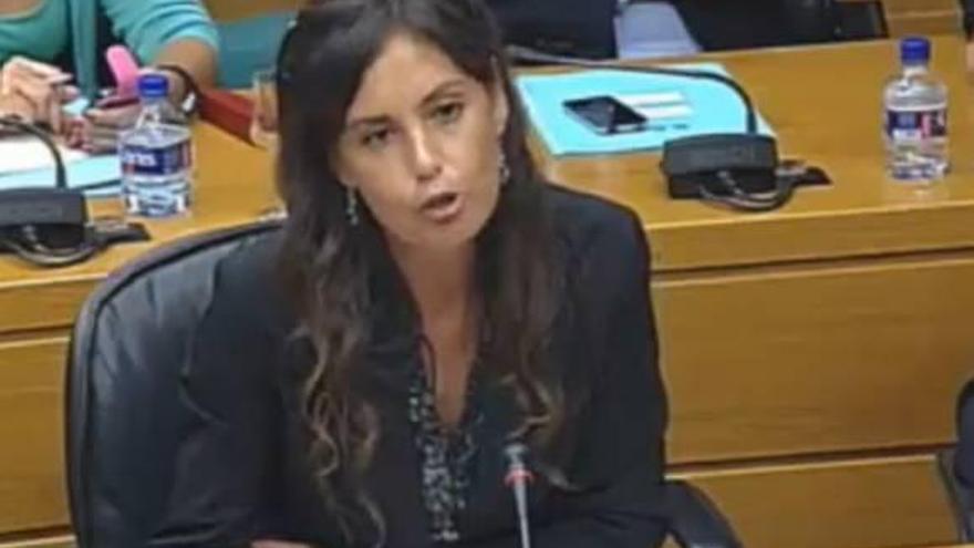 El TSJ procesa a Elisa Díaz por pegar a una mujer en un albergue de animales