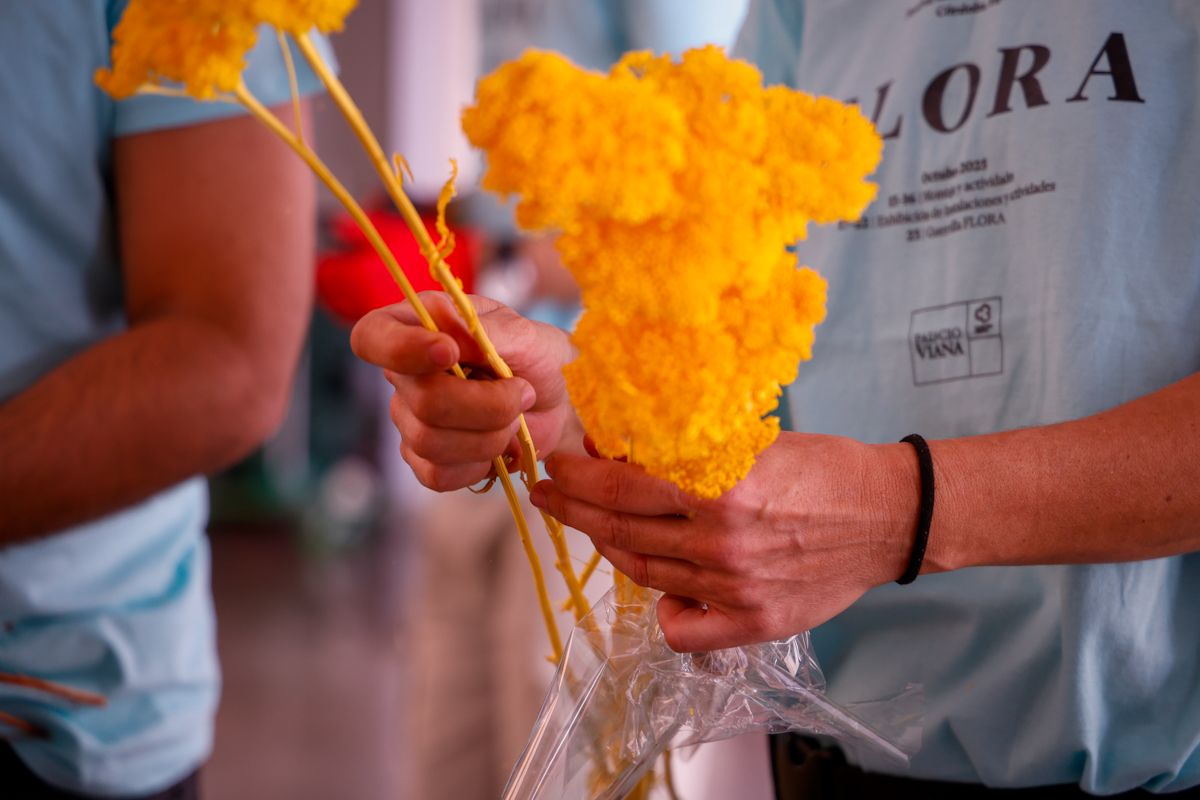 Comienza el montaje de las instalaciones de Flora 2025