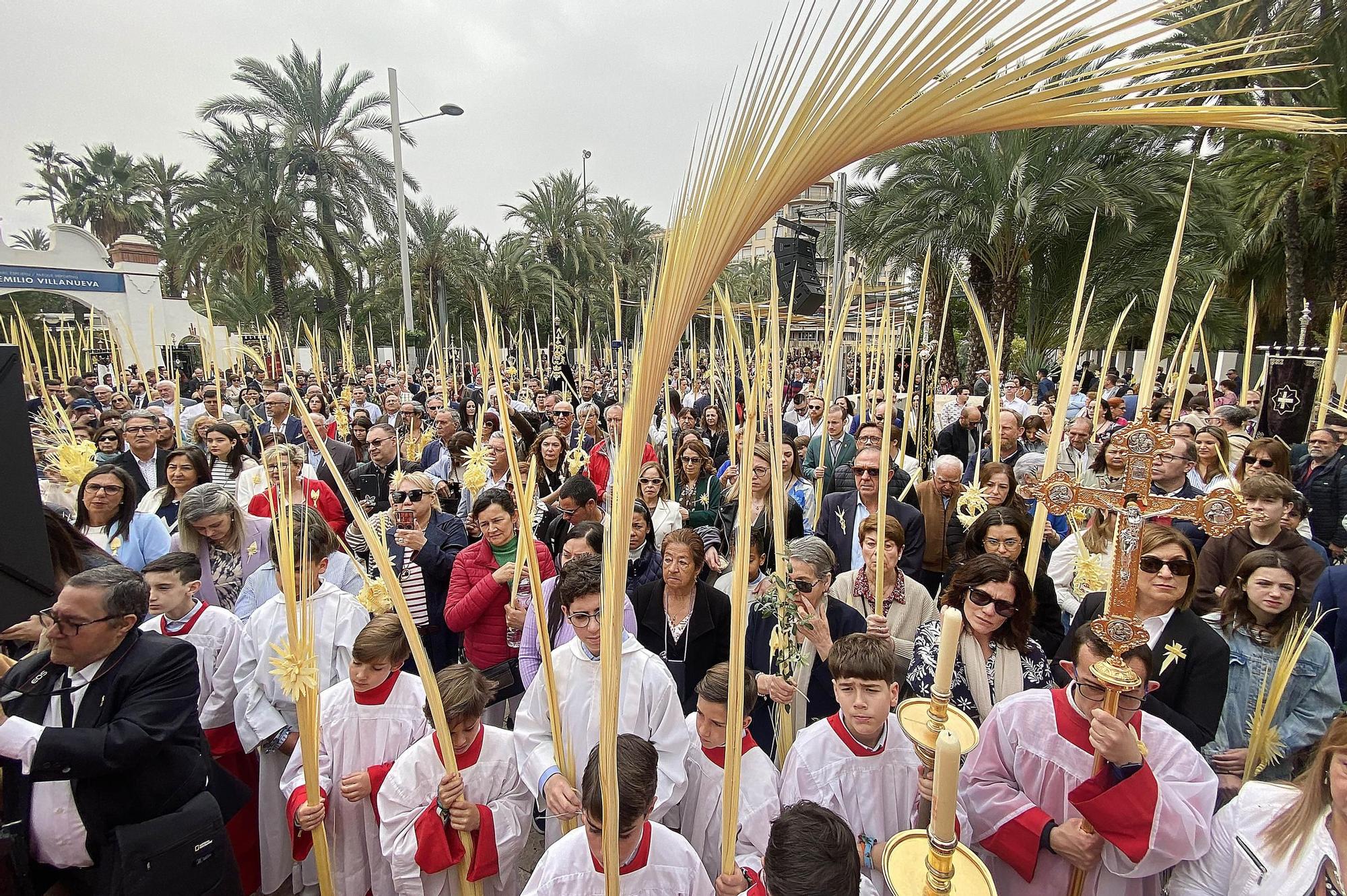 Miles de palmas blancas llenan Elche de tradición