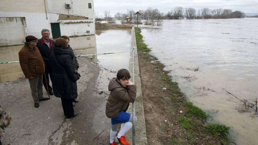 &quot;Nos han abandonado como ratas&quot;