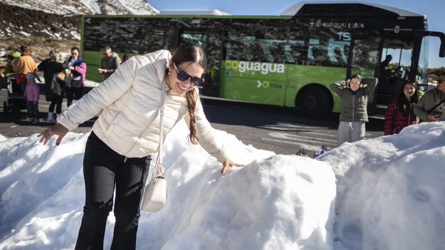 Los ecologistas quieren tumbar el Plan del Teide en la vía judicial