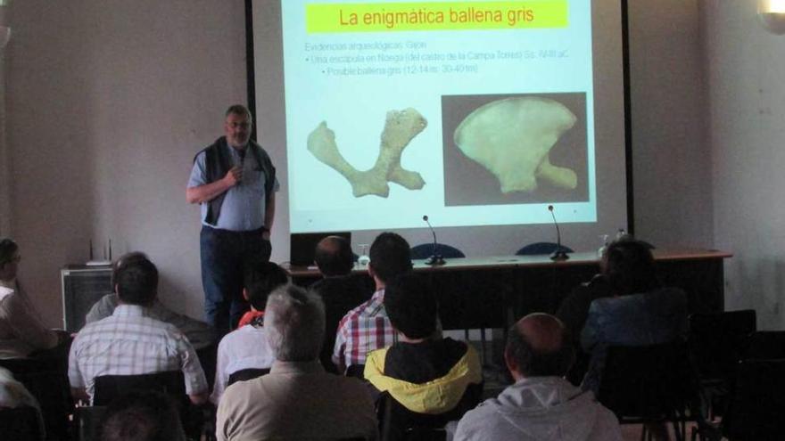 La charla sobre las ballenas llena la Casa de Cultura de Llanes