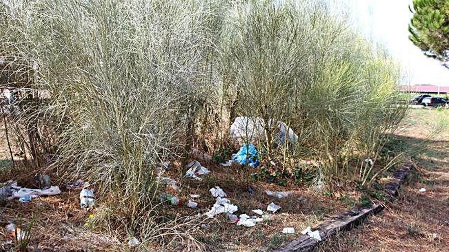 L&#039;espai darrere l&#039;arbrat amagat de la carretera està ple de brutícia.