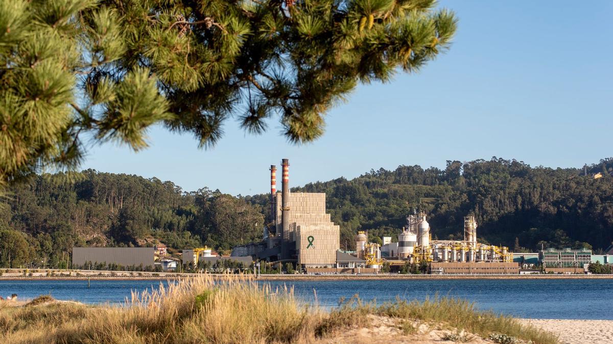 Excelencia en sostenibilidad y calidad del agua,  prioridades estratégicas para Ence