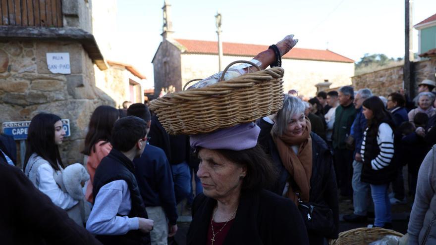 Lacones contra la peste dos siglos después