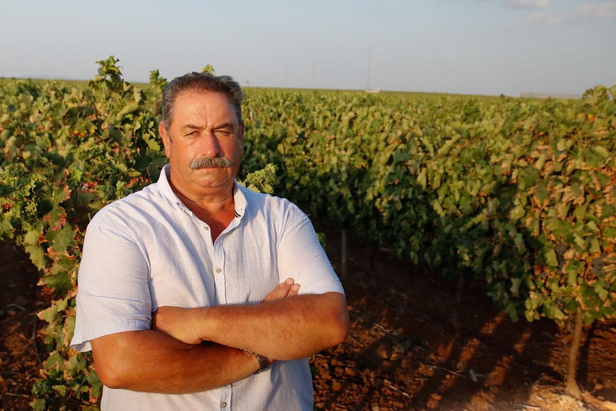 Antonio Hurtado, en una parcela con viñas en espaldera regadas por un pozo