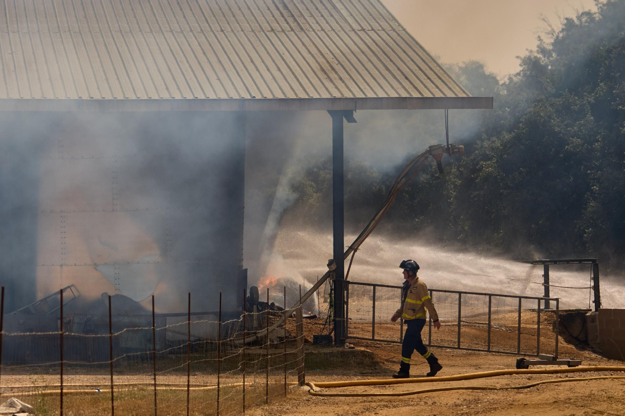 Les fotos de l&#039;incendi en una granja de xais de Vilobí d&#039;Onyar