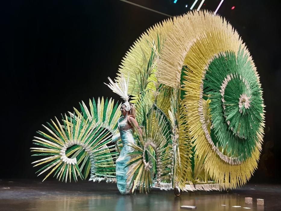 Concurso nacional de trajes de papel y maquillaje corporal del Carnaval de Águilas