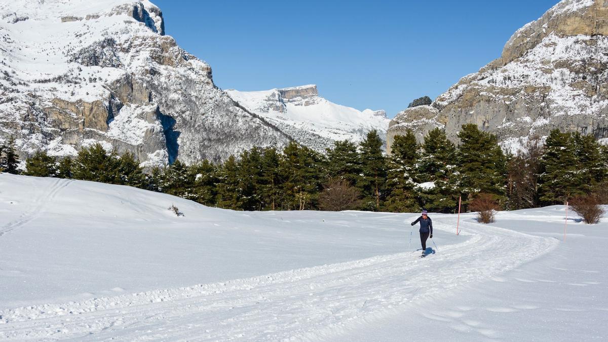 La mejor ruta en Aragón para iniciarse en los paseos con raquetas: 5 km entre preciosos bosques con vistas al Pirineo.