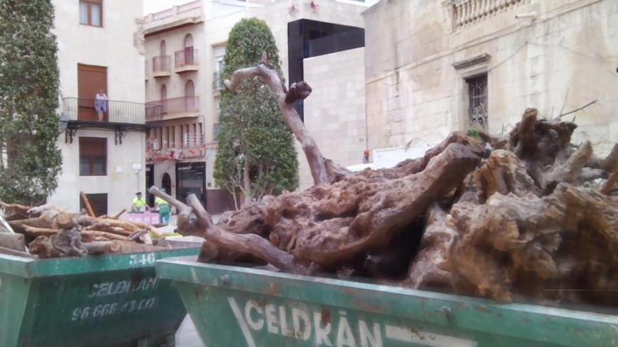 Retiran la leña de la terraza de la basílica de Santa María