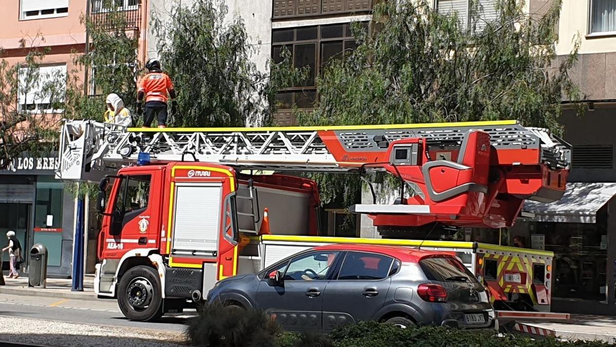 El camión de bomberos, frente a los edificios de la Travesía donde anidaron velutinas.