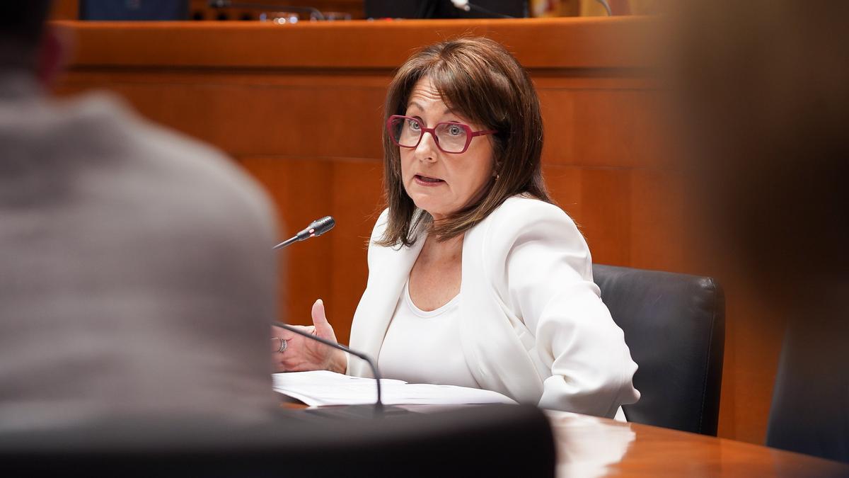 La directora gerente del Banco de Sangre y Tejidos, Rosa Plantagenet-White durante su intervención en la Comisión de Sanidad.