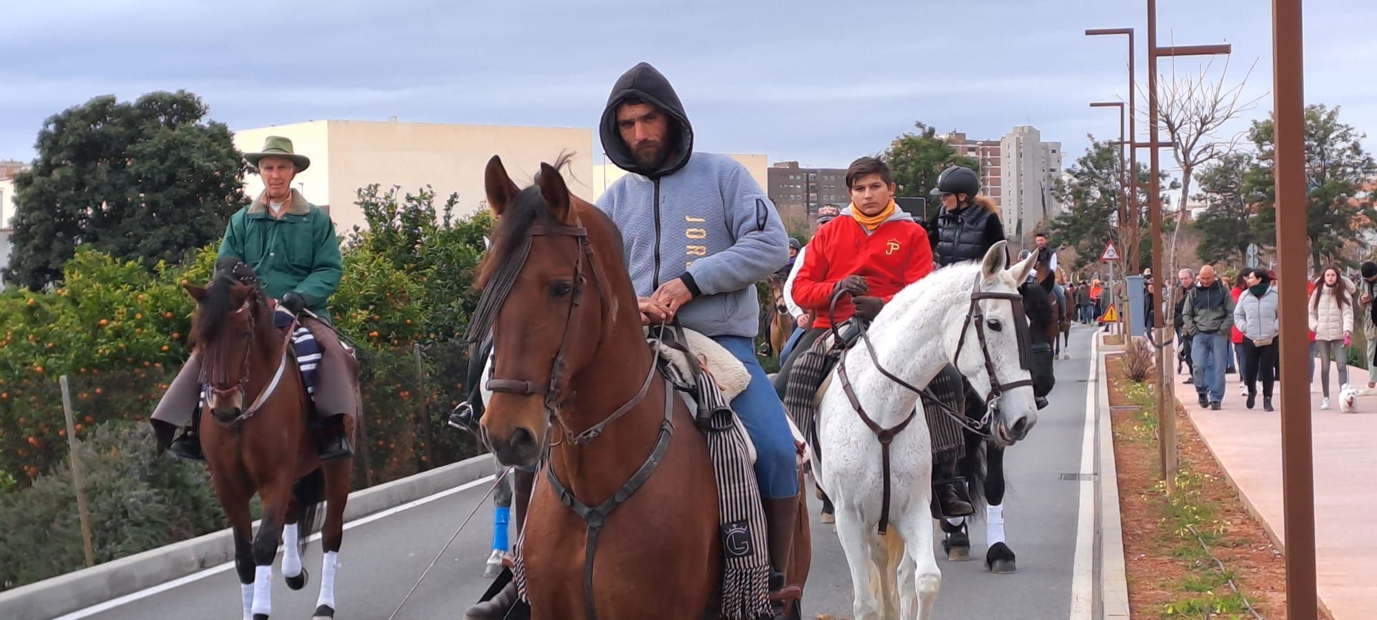 Galería de fotos: Castelló se vuelca con la procesión de Sant Antoni a la Mare de Déu del Lledó