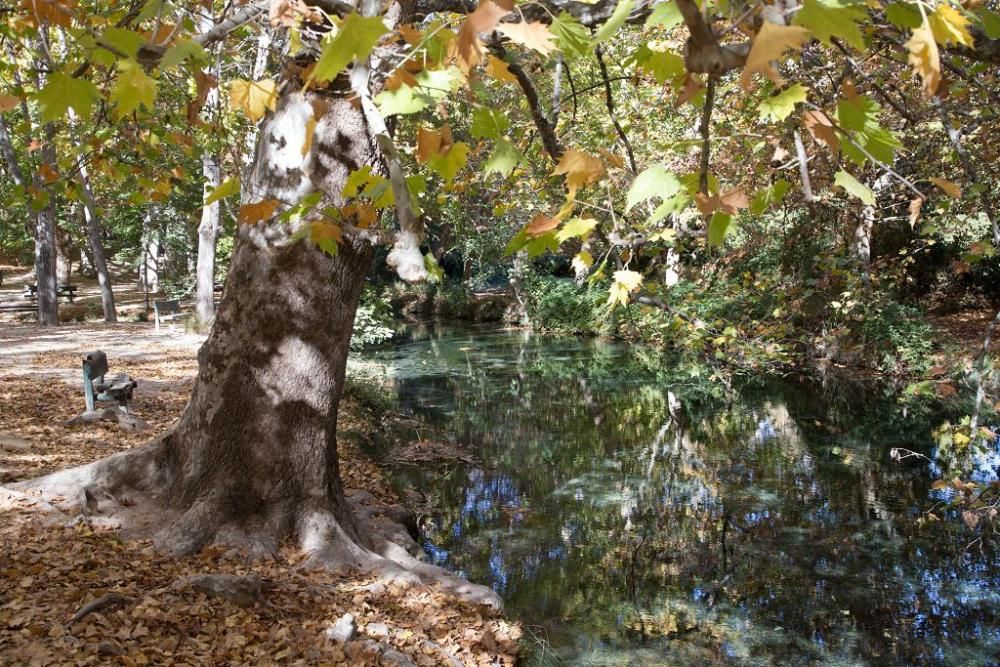 Fuentes del Marques: El otoño nace en Caravaca