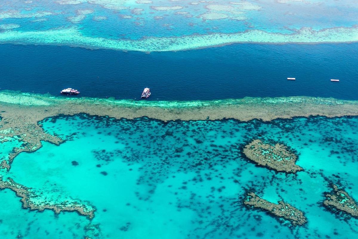 4k wallpaper for google pixel 6 pro