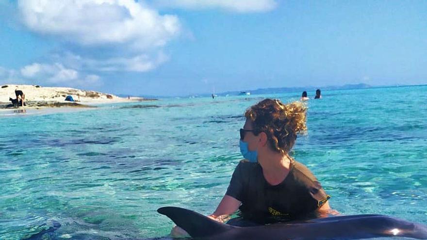 Triste final para un delfín enfermo llegado a una playa de Formentera - Vimarsana News