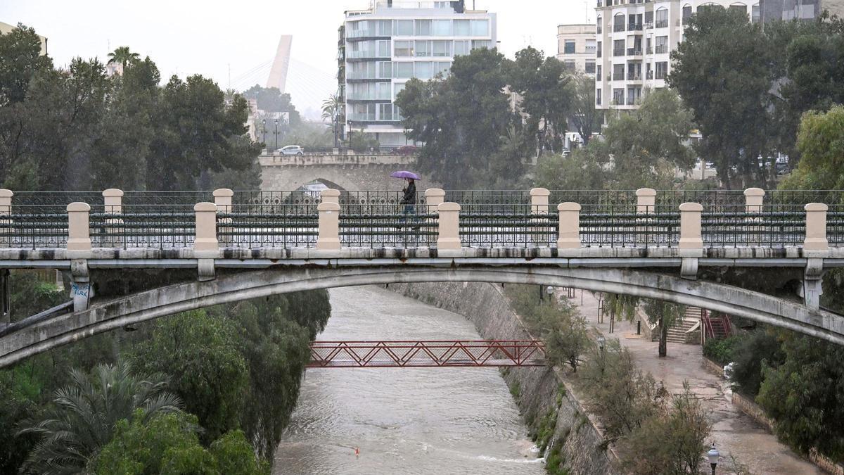 La lluvia cae con fuerza durante toda la mañana en Elche