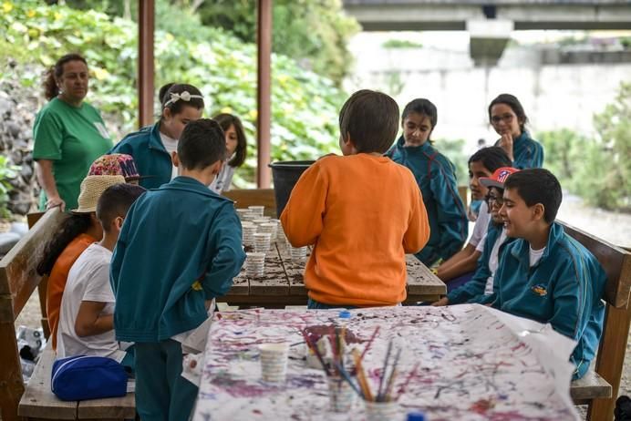 LAS PALMAS DE GRAN CANARIA A 05/06/2017. Día Mundial del Medio Ambiente. 100 escolares de varios colegios en las diferentes actividades de Centro Ambiental El Pambaso. FOTO: J.PÉREZ CURBELO