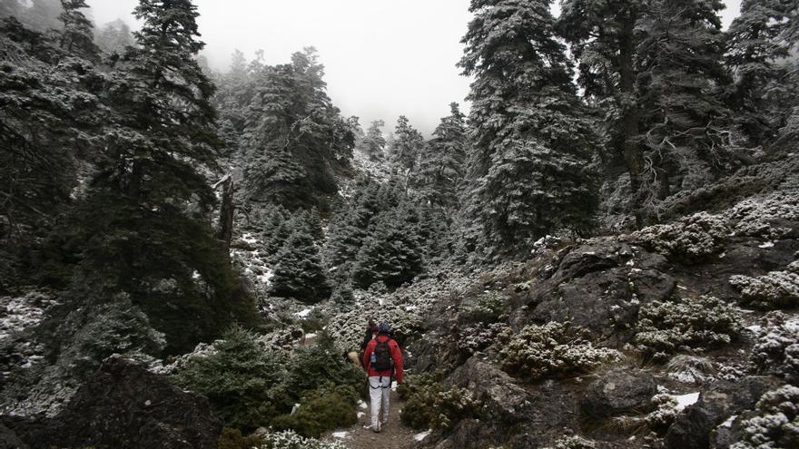 Una imagen de la Sierra de las Nieves.