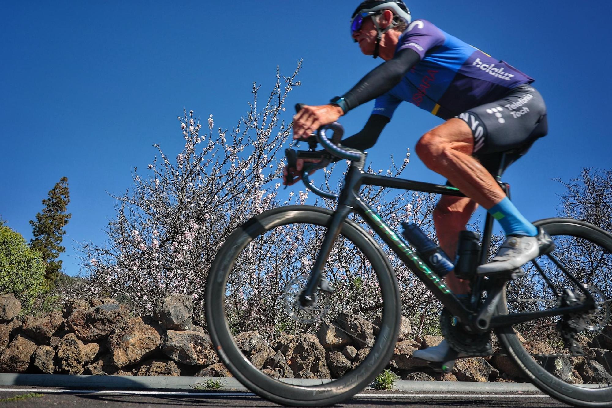 Pateos para ver el almendro en flor