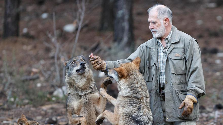 El último &#039;hombre lobo&#039;