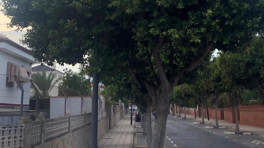 El PP denuncia la pasividad de San Vicente ante las quejas vecinales