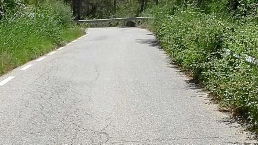 La vegetació envaeix la calçada en un camí de Castellar de la Ribera