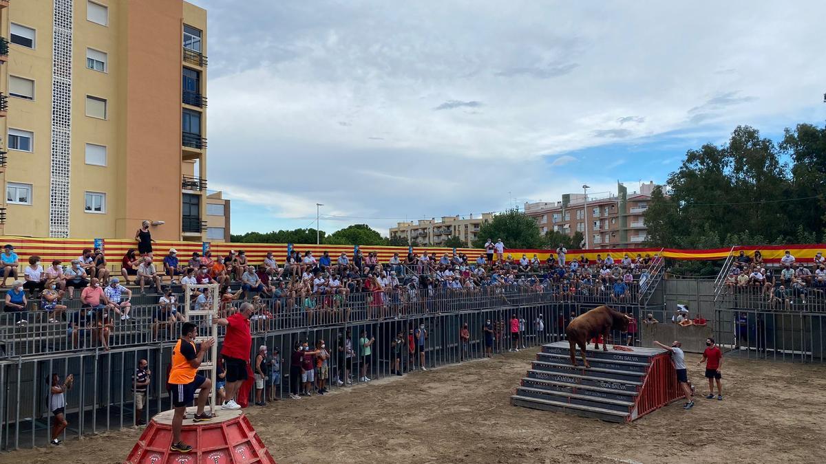 La ganadería Bous de la Ribera abrió ayer el cartel taurino de Peñíscola.