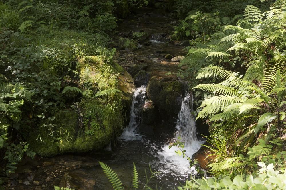 Rutas por Asturias: foces del río Pendón