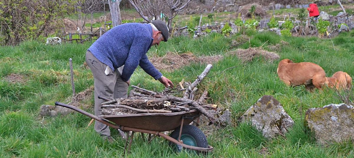 Un vecino recoge leña en los alrededores del pueblo. | Araceli Saavedra
