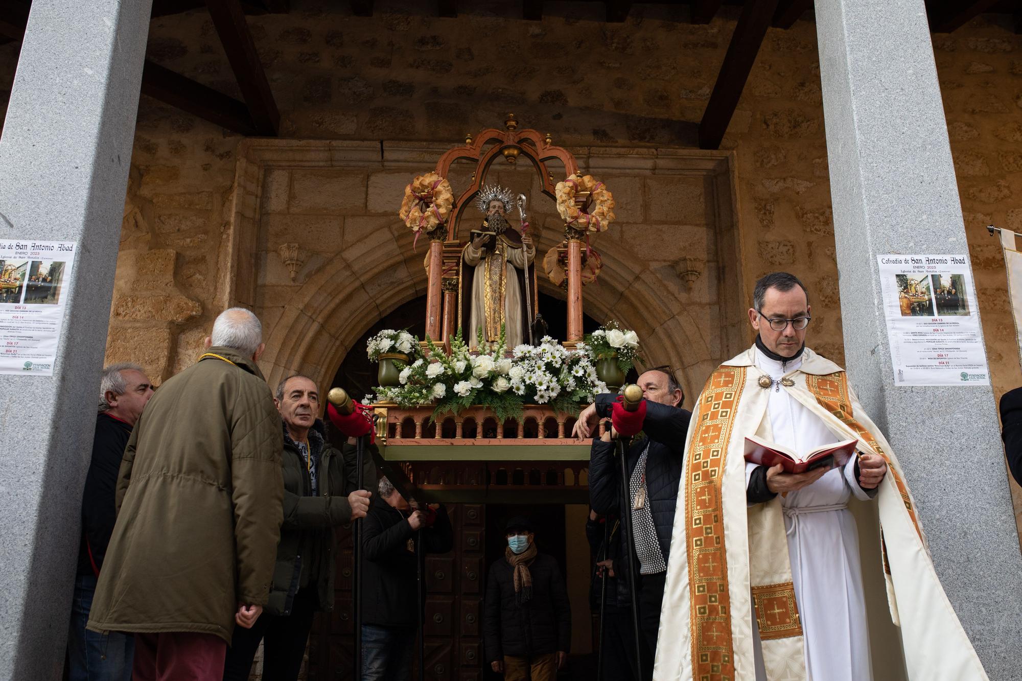 Los animales reciben la bendición por San Antón en Zamora