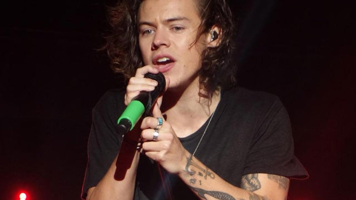 Harry Styles podría ser el Christian Grey para adolescentes