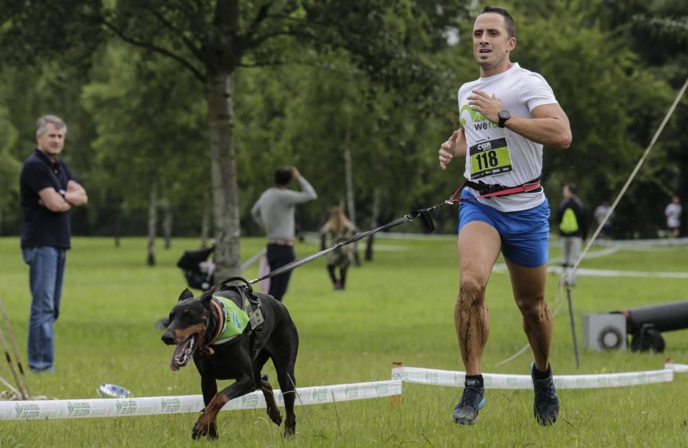 "Can We Run": Deporte, perros y solidaridad toman Gijón