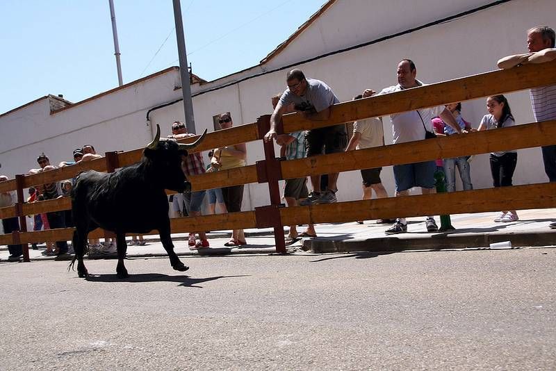 Fiestas de Utebo