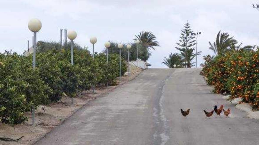 El PSOE dice que las farolas del alcalde son iguales a las que se retiraron de un parque