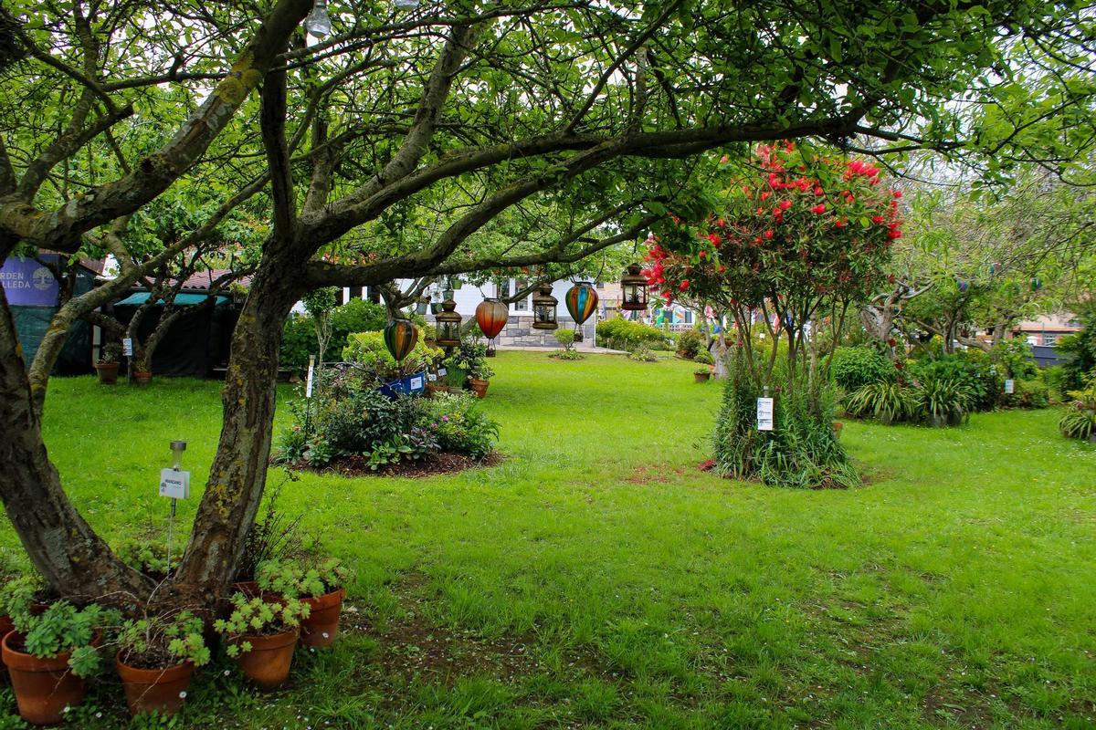 EN IMÁGENES: "The Garden Molleda" celebra su décimotercer aniversario