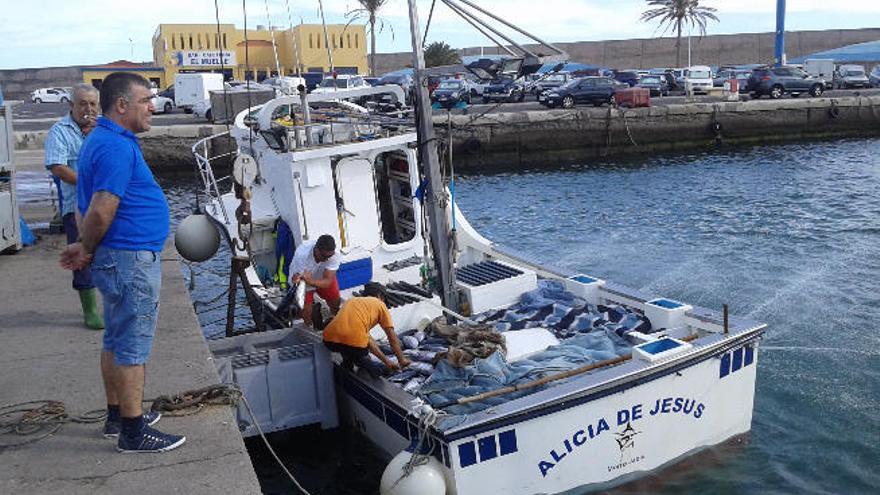 Imagen del barco &#039;Alicia de Jesús&#039; desembarcando atunes en Morro Jable.