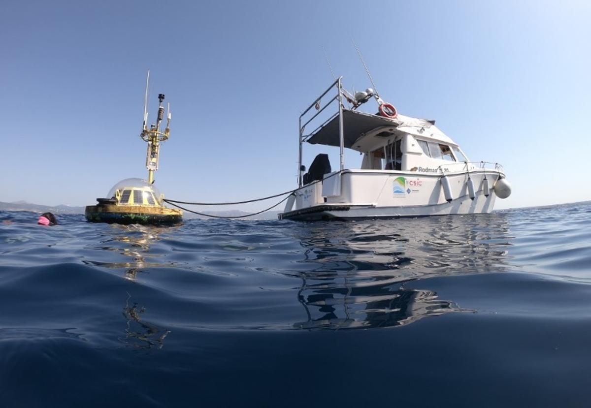 Trabajo de campo para la recuperación de los datos recogidos en la estación de monitorización Water:iOS.